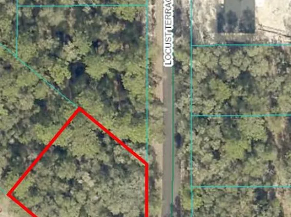 0 Locust Terrace Trl #1, Ocklawaha, FL 32179