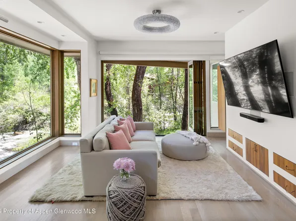 1022 E Hyman Ave #1 & 2, Aspen, CO 81611