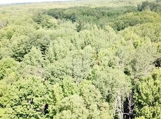 20765 Jefferson Rd, Morley, MI 49336