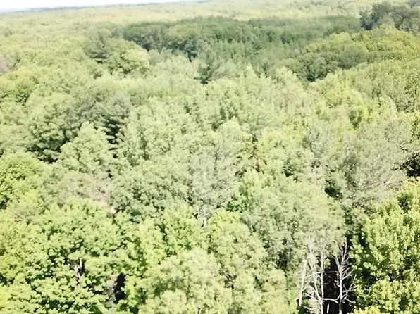 20766 Jefferson Rd, Morley, MI 49336