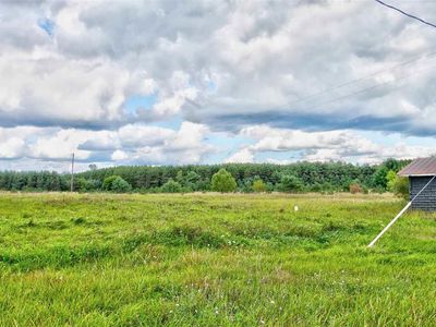 Bowerman Rd, Kingsley, MI, 49649