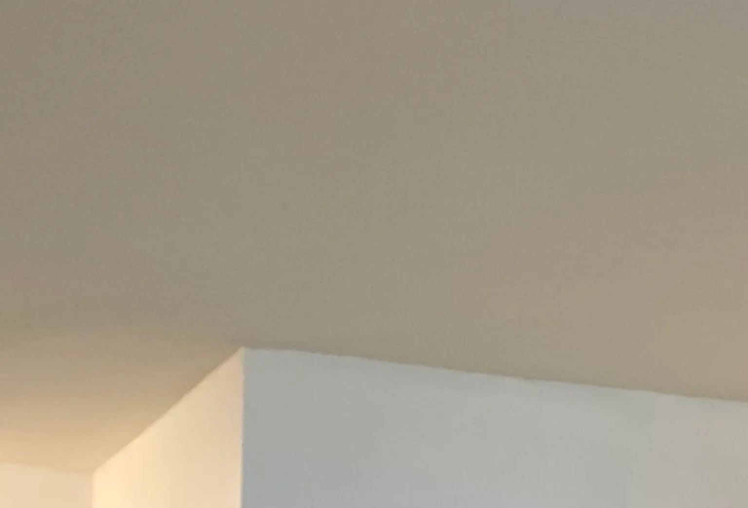 1 bed, 800 sqft, $1,710 — Photo 3