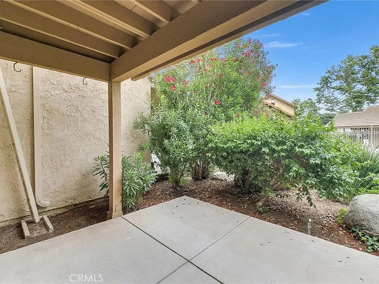 326 Tangelo #323 — Photo 22