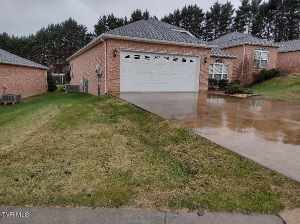 141 Apple Lake Dr, Bluff City, TN 37618