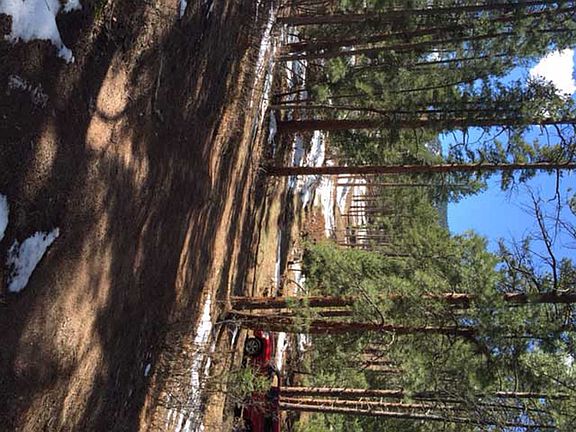 3rd image of 8129 Bannock Dr