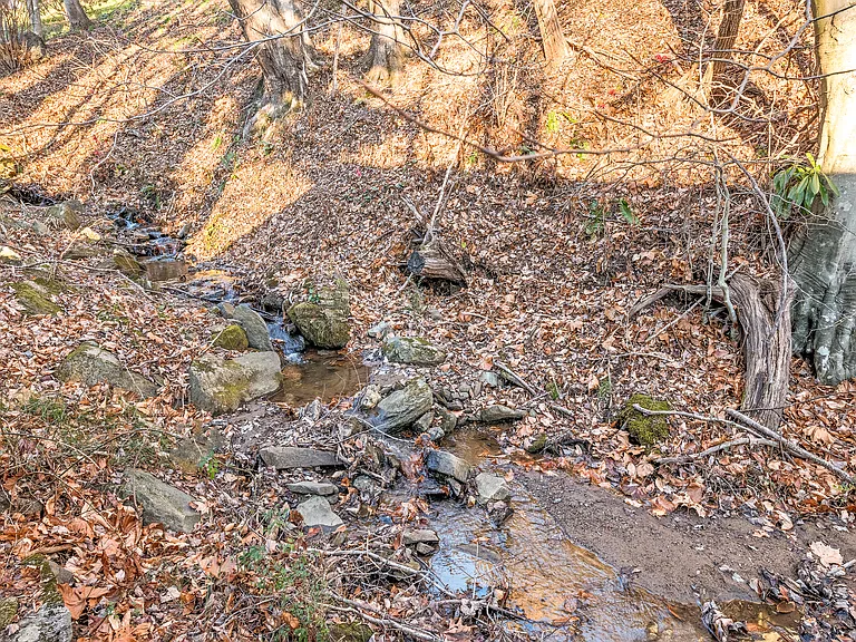 101 Starlight Ln — Photo 47
