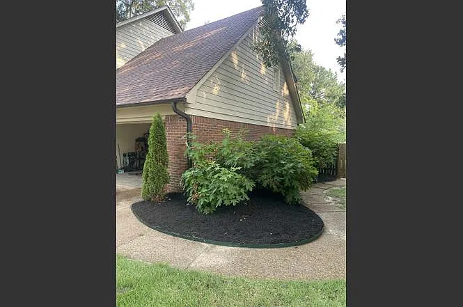 8185 Kimbrook Dr — Photo 3