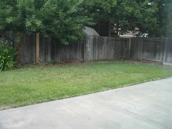 Back yard