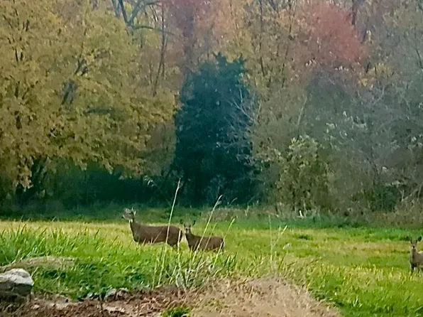 0 330th St, Brighton, IA 52540