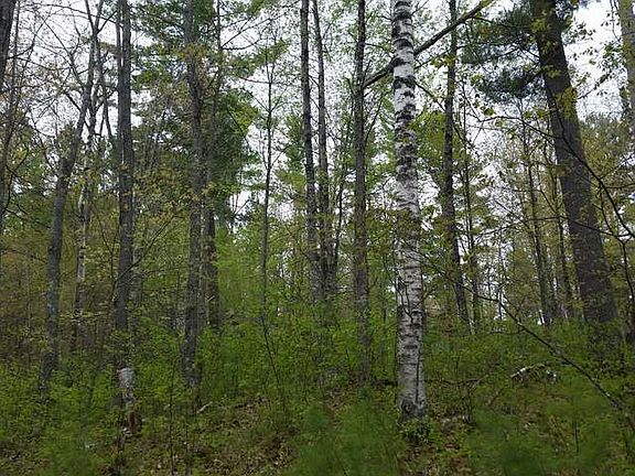 4th image of ON BIG DOE RD