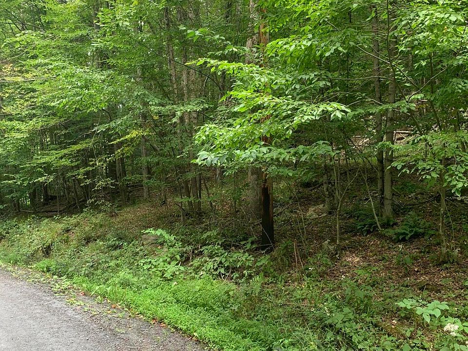 0 State Route 3004, Laceyville, PA 18623 Zillow