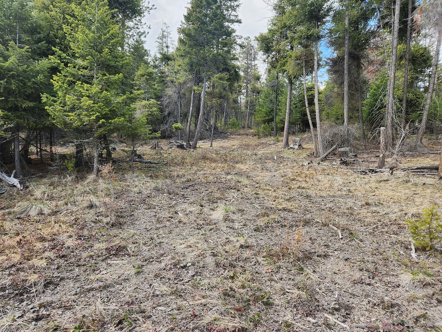 810 Grayling Rd, Lakeside, MT 59922 Zillow