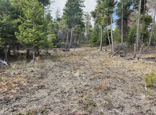 810 Grayling Rd, Lakeside, MT 59922