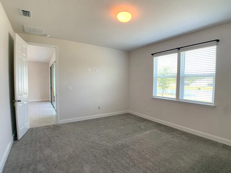 1499 Tropical Pine Cv — Photo 32