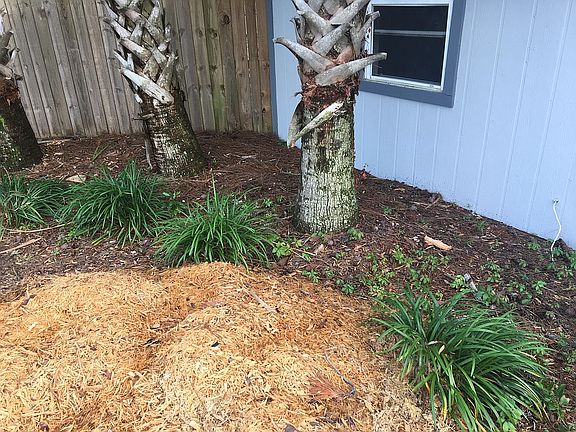 4th image of 1127 Maplewood Ct
