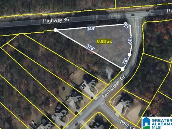 104 Bent Creek Dr #1, Chelsea, AL 35043