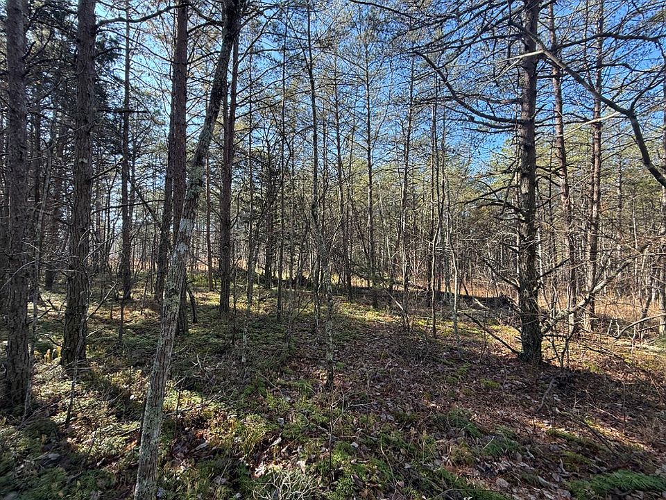 The pine grove flats in the east part of the property
