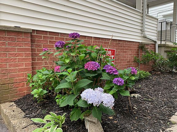 Lovely landscaping