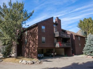 3900 Old Lodge Rd APT 3, Glenwood Springs, CO 81601