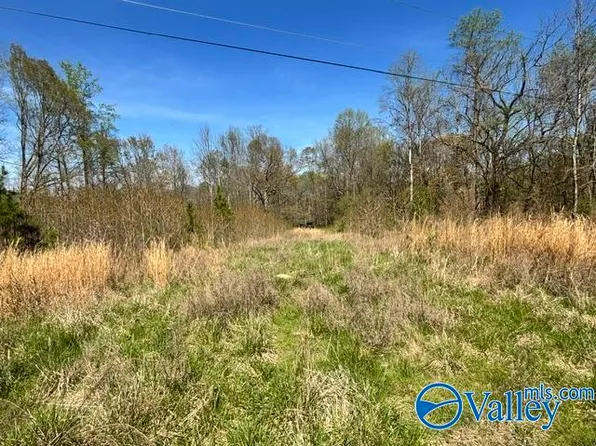 County Road 148, Stevenson, AL 35772
