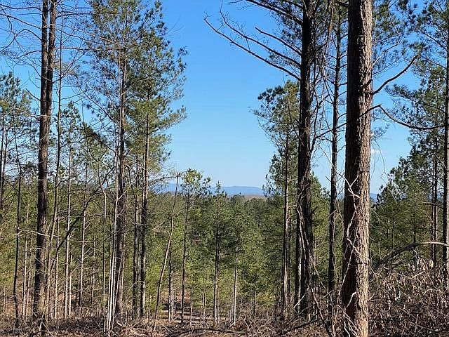 2nd image of 8 County Road 351