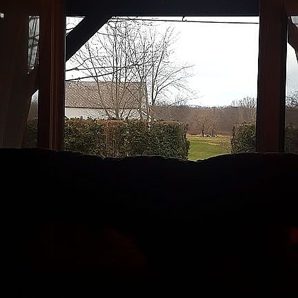 A true picture window 
