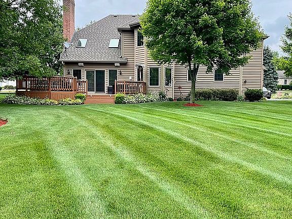 1 acre back yard