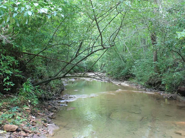 TRACT 3 Straight Fork Rd, Huntsville, TN 37756