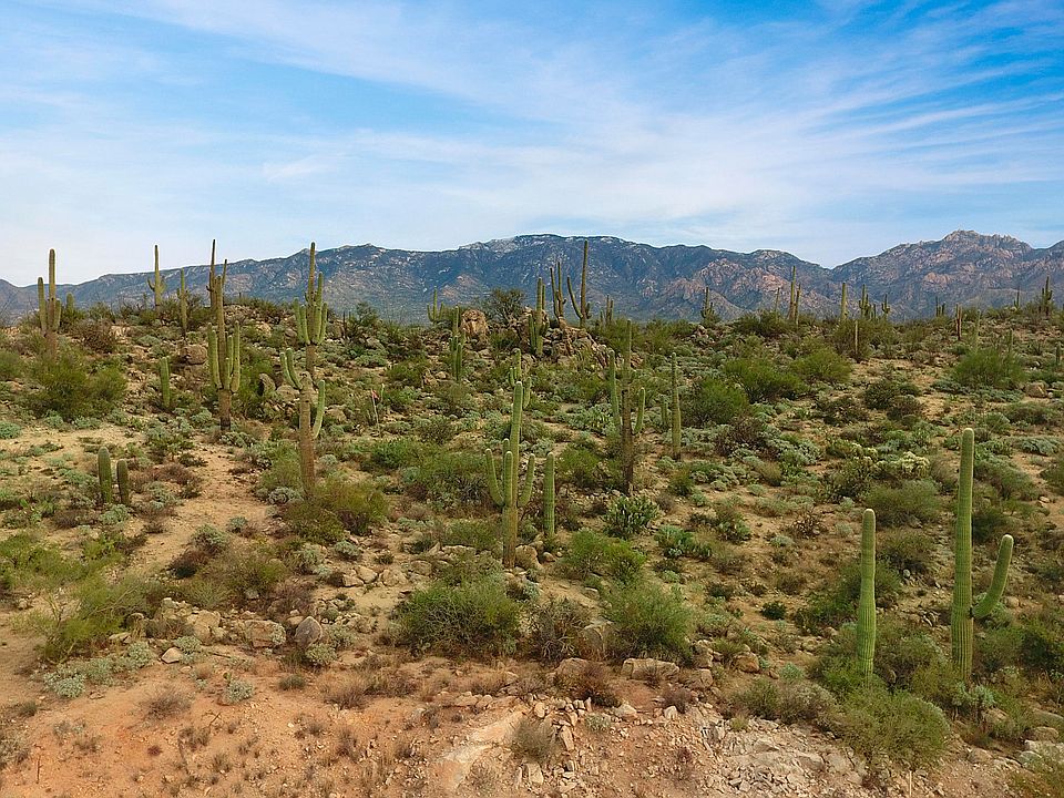 1st image of 1787 Tortolita Mountain Cir #502