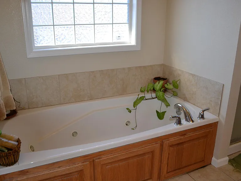 Master Bathroom Whirlpool Tub