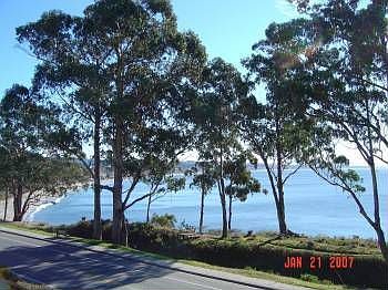 1st image of 825 Balboa Ave Unit 305