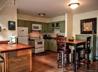 23120 Schussmark Trl UNIT D, Oak Creek, CO 80467