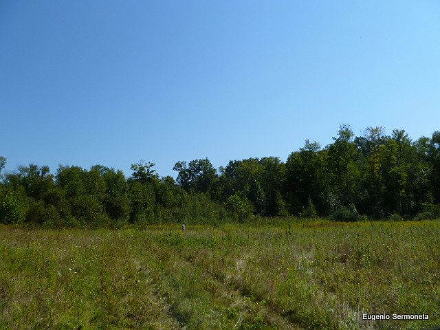 2nd image of 19 Tillman Ln