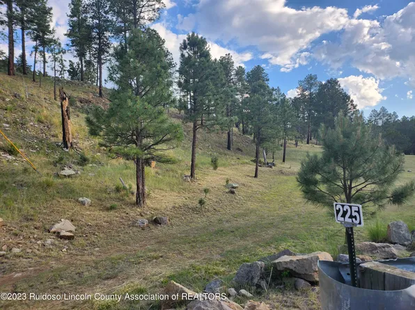 129A/130A Sandesta Dr, Alto, NM 88312