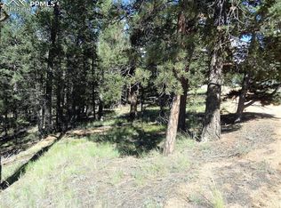 193 Kenosha Way, Florissant, CO 80816