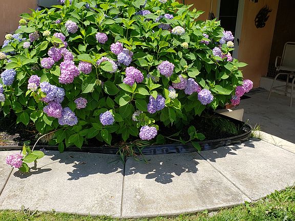 Beautifully landscaped