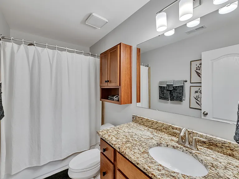 843 Swan Neck Ln — Photo 17