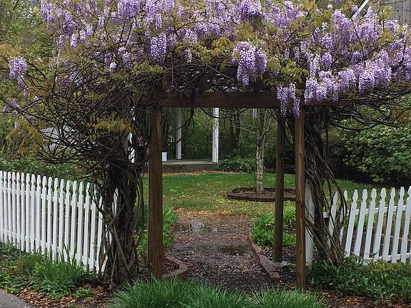 Front of side courtyard