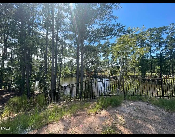 419 Carolina Springs Blvd — Photo 4