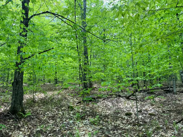 1.1 Cobble Creek Rd #1, North Creek, NY 12853