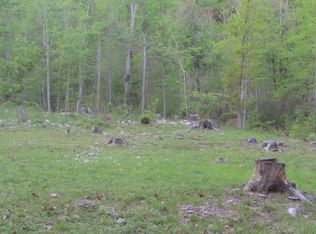 0 Enoch Creek Rd, Moneta, VA 24121