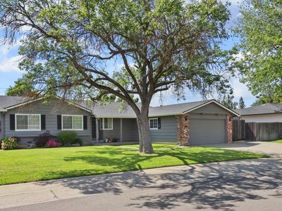 411 Virginia Ave, Lodi, CA, 95242