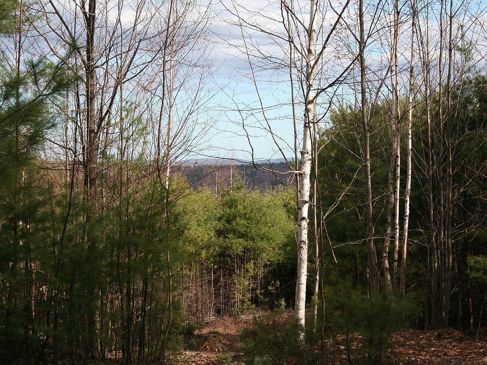 View from clearing into southern mountains