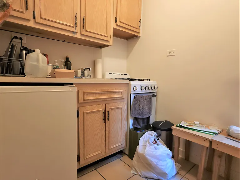 310 E 55th St #3DD — Photo 4