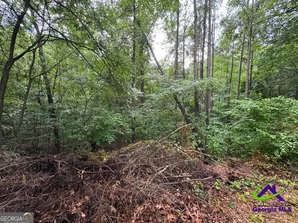 176 Waters Point, Lizella, GA 31052