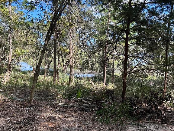 4th image of 27 Frazier Landing Road