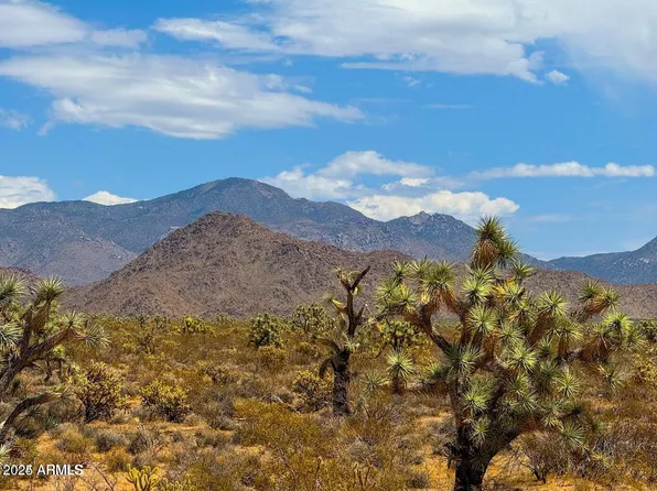 TBD Jesse James Rd 80 Acres -- #-, Yucca, AZ 86438