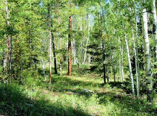 0 Kens Rd, Fairplay, CO 80440