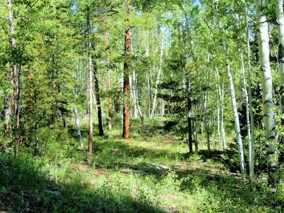 0 Kens Rd, Fairplay, CO, 80440