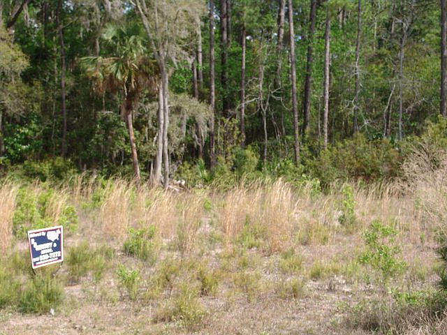 1st image of 122 Palmera Ln